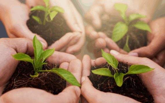 Small Money Habits That Can Make a Big Difference