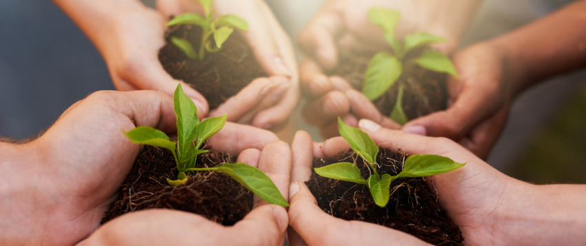 Small Money Habits That Can Make a Big Difference
